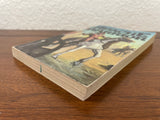 Apache Warrior by Steve Mensing Vintage 1979 Zebra Western Paperback