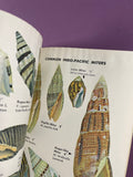 Sea Shells of the World Golden Nature Guide Abbott Vintage 1962 Paperback