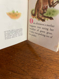 Hop Hop Little Kangaroo # 9 Vintage 1948 Tiny Golden Book Dorothy Kunhardt Mini