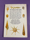 Sea Shells of the World Golden Nature Guide Abbott Vintage 1962 Paperback