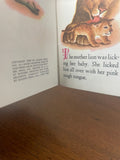 Meow Said the Fierce Baby Lion Tiny Golden Book 1948 Dorothy Kunhardt Vintage