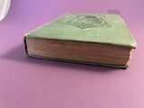 A Princess of the Hills Mrs Burton Harrison 1901 Italian Romance Lothrop HC RARE