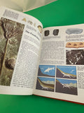 Prehistoric Life Encyclopedia 1981 Vintage Checkerboard Press Dinosaurs Maps HC