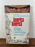 America America by Elia Kazan 1964 Vintage Movie Tie-in Paperback Immigration PB