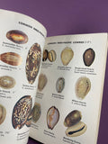 Sea Shells of the World Golden Nature Guide Abbott Vintage 1962 Paperback