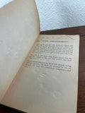 The Other Side of Love Denise Robins Vintage Beagle Romance 1975 Paperback RARE