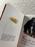 The Brave Father Gorilla Tiny Golden Book Vintage 1948 Kunhardt # 7 Williams