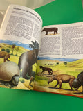 Prehistoric Life Encyclopedia 1981 Vintage Checkerboard Press Dinosaurs Maps HC