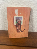 Meow Said the Fierce Baby Lion Tiny Golden Book 1948 Dorothy Kunhardt Vintage