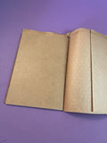 A Boy and His Girl Friends Clarence Robinson 1931 Vintage Association Press RARE