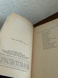 The Rape by Robert Lamb Vintage 1974 Bantam Paperback Thriller Crime