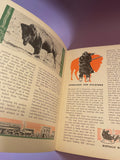 King Buff by Ellis Christian Lenz 1937 Saalfield Children's Buffalo Yellowstone
