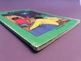 Flood by Neil R. Selden Vintage 1974 Scholastic Sprint Paperback Middle Grade PB