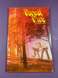 Forest Fire by Barney Mara Scholastic Action Vintage 1975 Wildland Firefighters