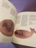 A Man and His Land Highlights from the Moshe Dayan Collection 1986 Archaeology