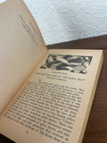 The Blind Spot by Austin Hall & Homer Eon Flint Vintage Sci Fi Ace Paperback PB