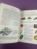 Sea Shells of the World Golden Nature Guide Abbott Vintage 1962 Paperback