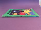 Flood by Neil R. Selden Vintage 1974 Scholastic Sprint Paperback Middle Grade PB