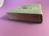 A Princess of the Hills Mrs Burton Harrison 1901 Italian Romance Lothrop HC RARE