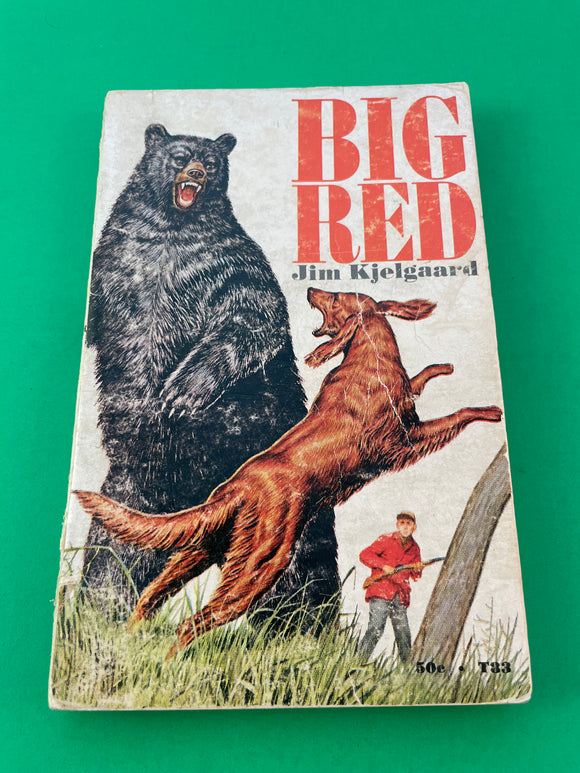 Big Red by Jim Kjelgaard Vintage 1969 Scholastic Paperback Irish Setter Bear