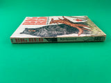 Big Red by Jim Kjelgaard Vintage 1969 Scholastic Paperback Irish Setter Bear