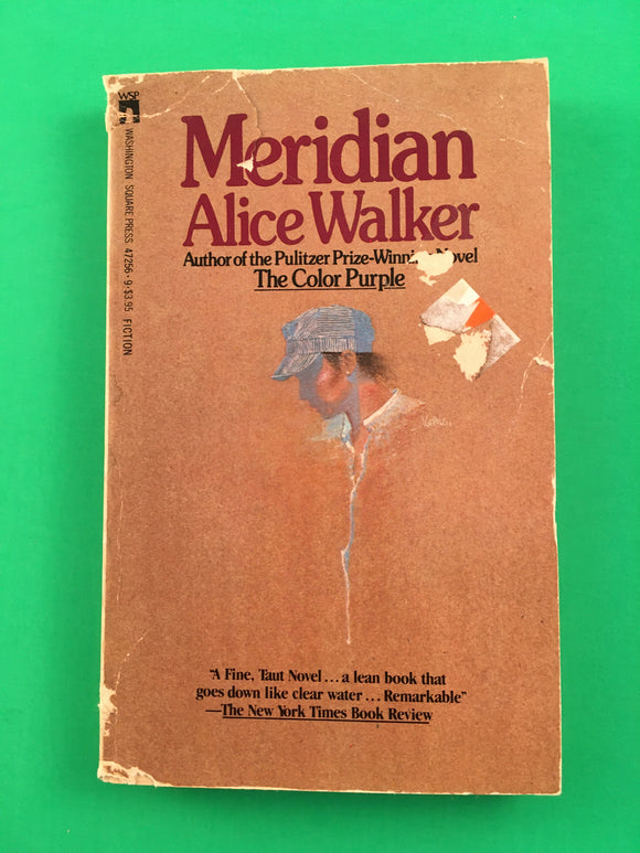 Meridian by Alice Walker Vintage 1977 Washington Square Press WSP Paperback Feminism Civil Rights Classic