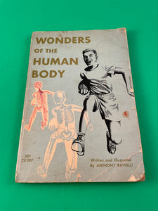Wonders of the Human Body by Anthony Ravielli Vintage 1964 Scholastic Paperback Kids Childrens