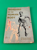 Wonders of the Human Body by Anthony Ravielli Vintage 1964 Scholastic Paperback Kids Childrens