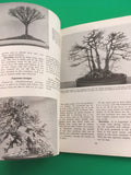 Dwarfed Potted Trees The Bonsai of Japan Brooklyn Botanic Plants & Gardens 1988