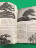 Dwarfed Potted Trees The Bonsai of Japan Brooklyn Botanic Plants & Gardens 1988