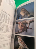 National Audubon Society Master Guide to Birding Old World Warblers to Sparrows