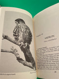 Eastern Birds of Prey by Neal Clark Vintage 1983 Thorndike Paperback TPB Photos