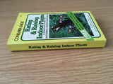 Consumer Guide Rating & Raising Indoor Plants by Virginia Beatty PB 1976 Vintage